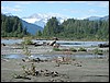 Alaska 2007-349.JPG