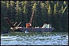 Alaska 2007-463.JPG
