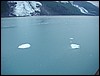 Alaska 2007-527.JPG
