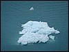 Alaska 2007-528.JPG