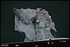 Alaska 2007-558.JPG