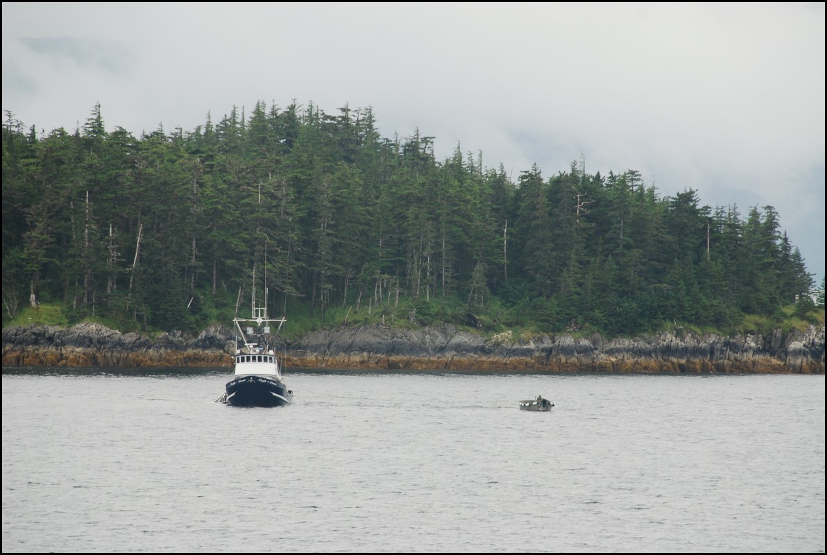 H College Fjord 017.JPG