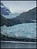 G Glacier Bay NP 004.JPG