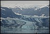 G Glacier Bay NP 015.JPG