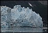 G Glacier Bay NP 020.JPG