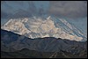 I Denali 015.JPG