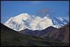 I Denali 023.JPG