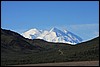 I Denali 024.JPG