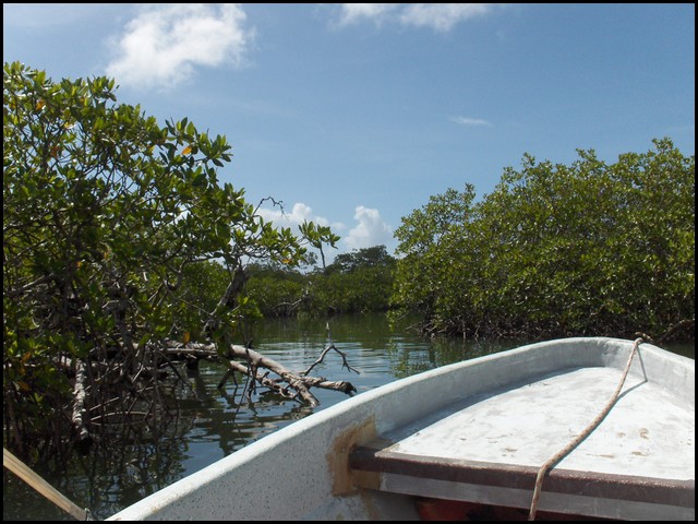 Belize 2008-011.JPG
