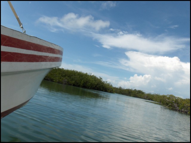 Belize 2008-012.JPG
