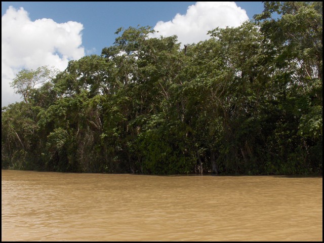 Belize 2008-020.JPG