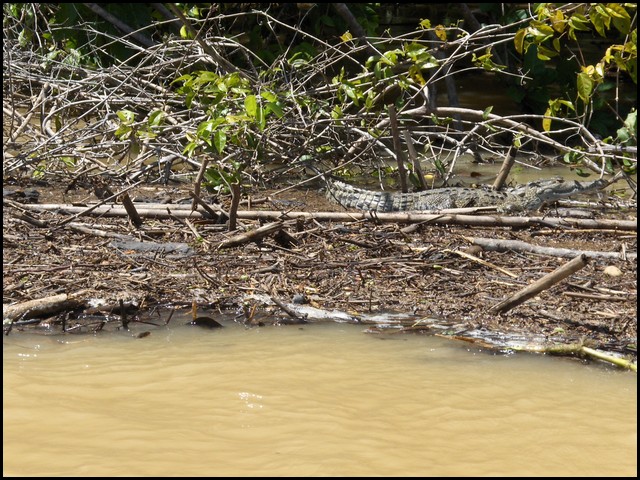 Belize 2008-021.JPG