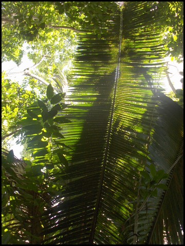 Belize 2008-026.JPG