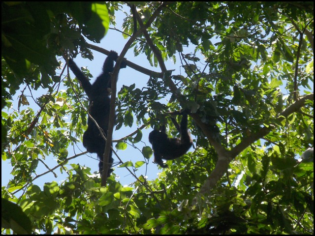 Belize 2008-031.JPG