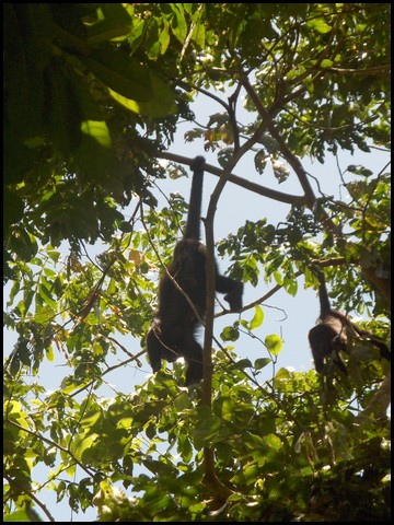 Belize 2008-032.JPG