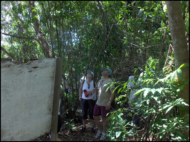 Belize 2008-033.JPG