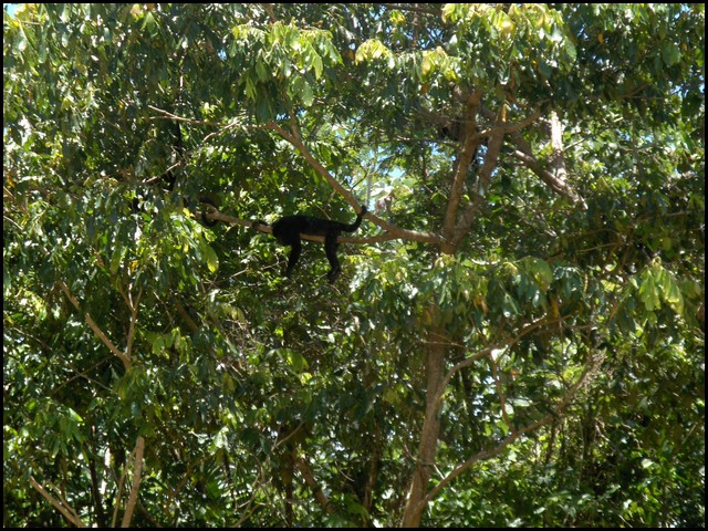 Belize 2008-036.JPG