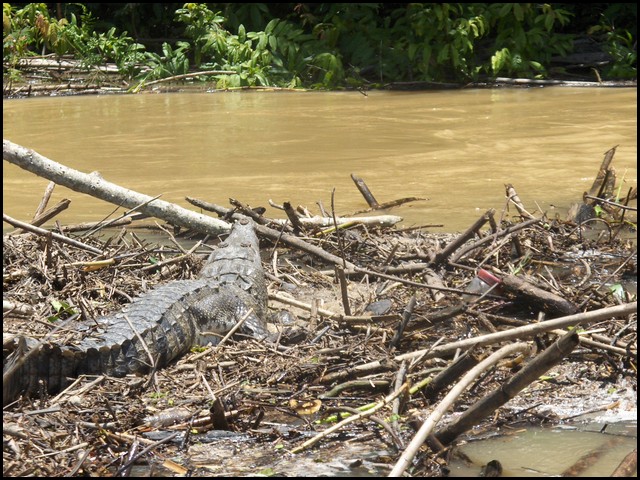 Belize 2008-038.JPG