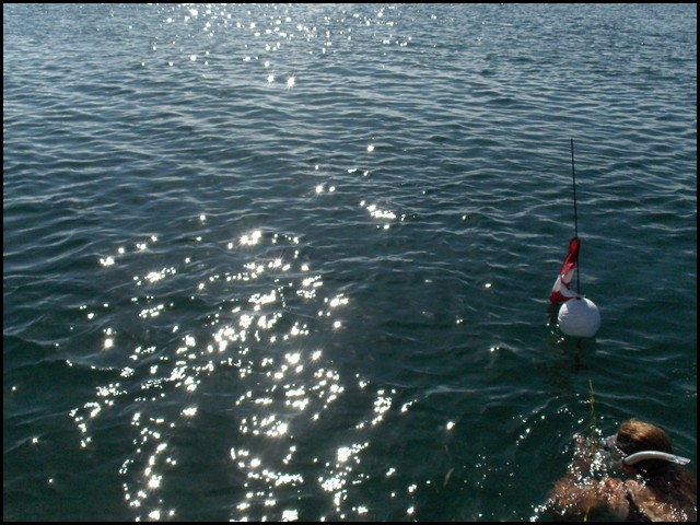 Belize 2008-073.JPG