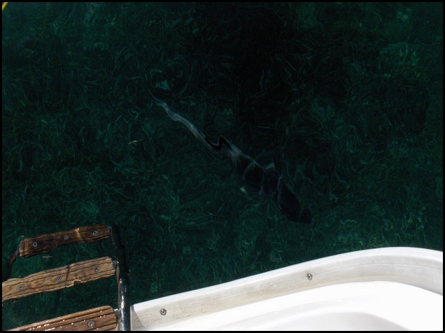 Belize 2008-074.JPG