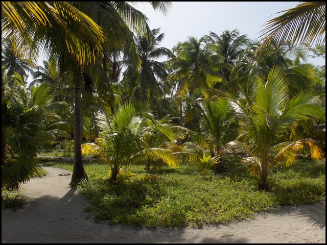Belize 2008-087.JPG