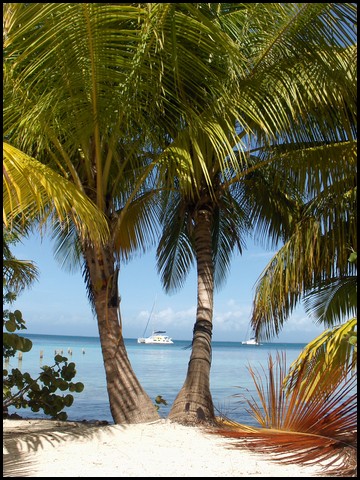 Belize 2008-091.JPG