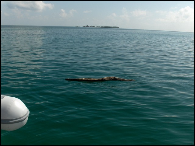 Belize 2008-110.JPG