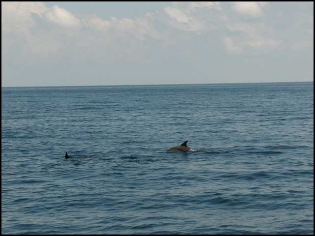 Belize 2008-115.JPG