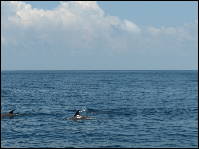 Belize 2008-116.JPG