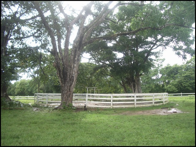 Belize 2008-151.JPG