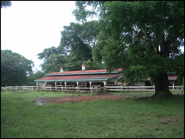 Belize 2008-152.JPG