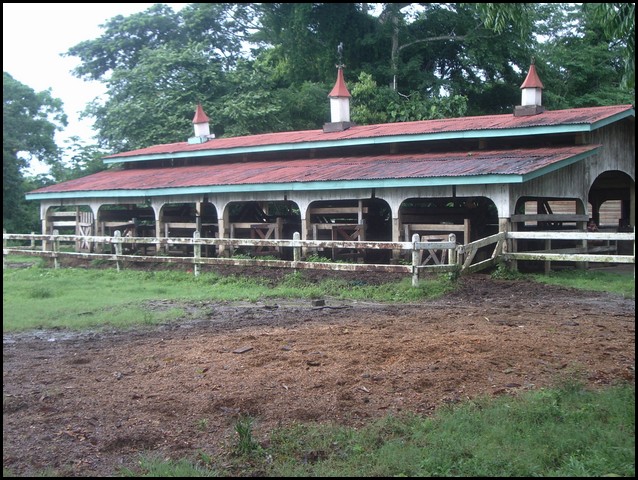 Belize 2008-153.JPG