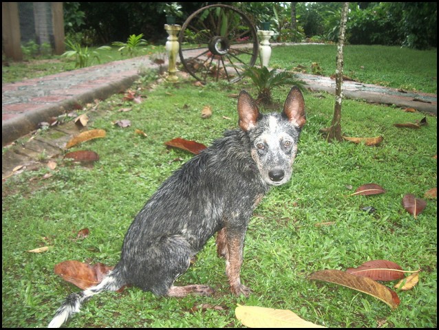 Belize 2008-154.JPG