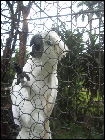 Belize 2008-155.JPG