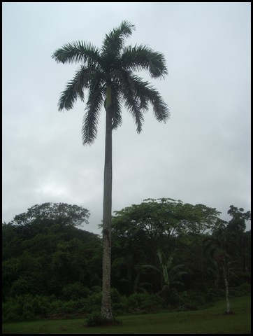 Belize 2008-157.JPG