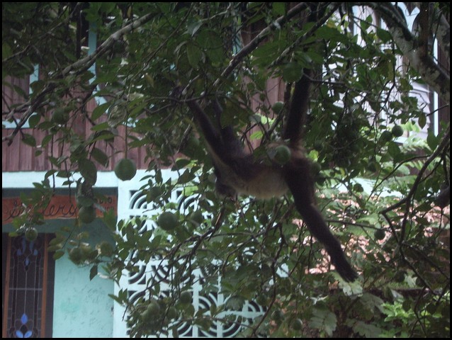 Belize 2008-158.JPG