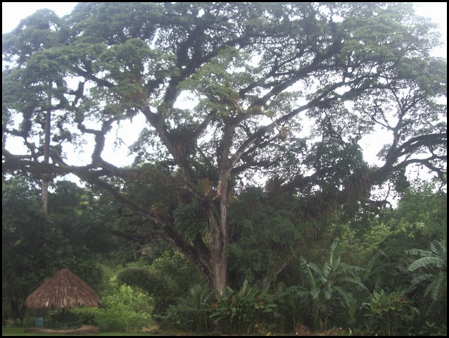 Belize 2008-163.JPG