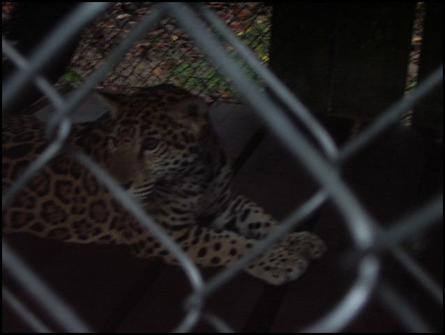 Belize 2008-168.JPG