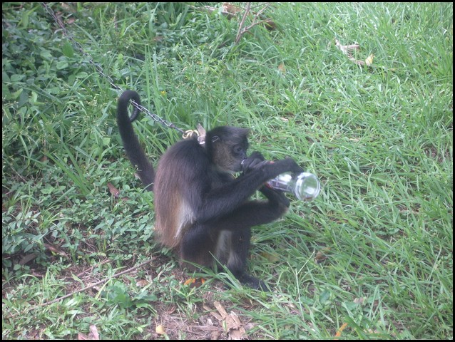 Belize 2008-172.JPG