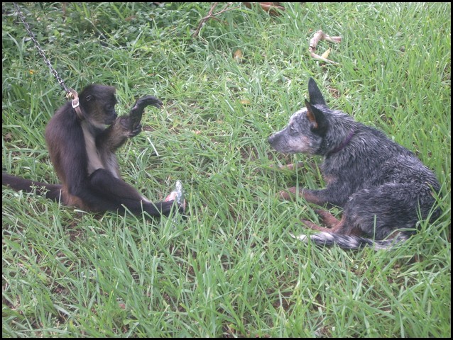 Belize 2008-173.JPG