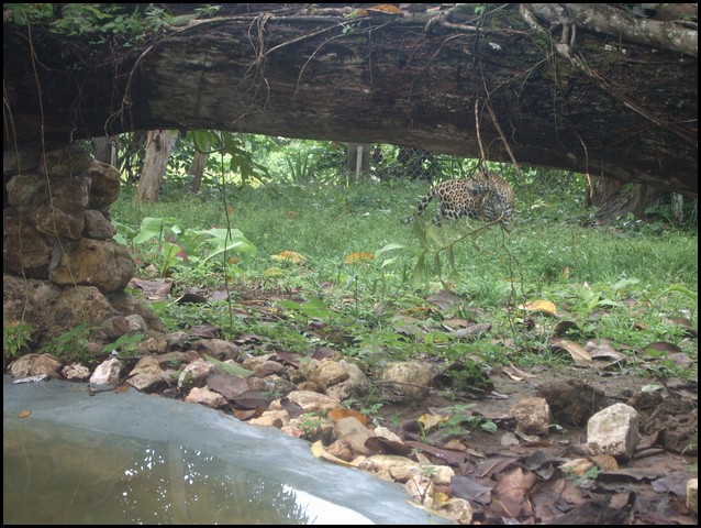 Belize 2008-174.JPG
