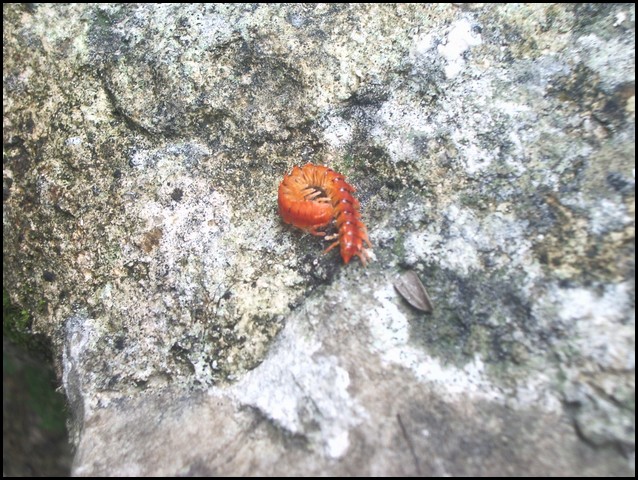 Belize 2008-182.JPG