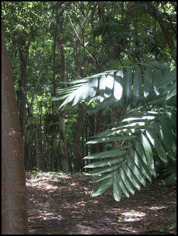 Belize 2008-207.JPG
