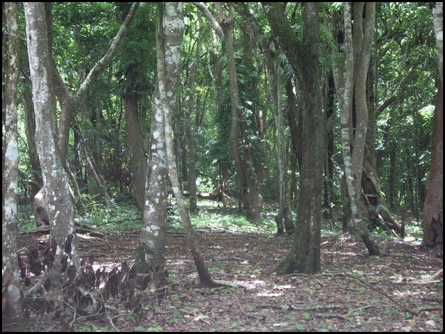 Belize 2008-208.JPG