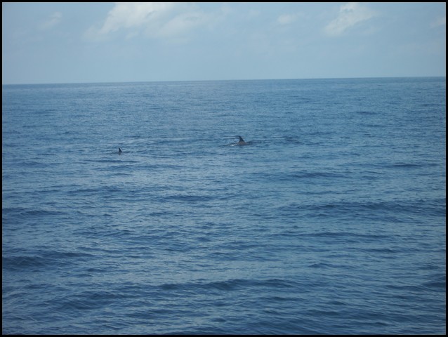 Belize 2008-273.JPG