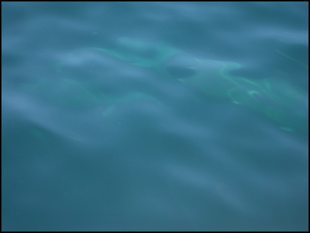 Belize 2008-360.JPG