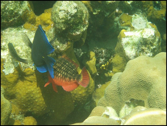 Belize 2008-364.JPG