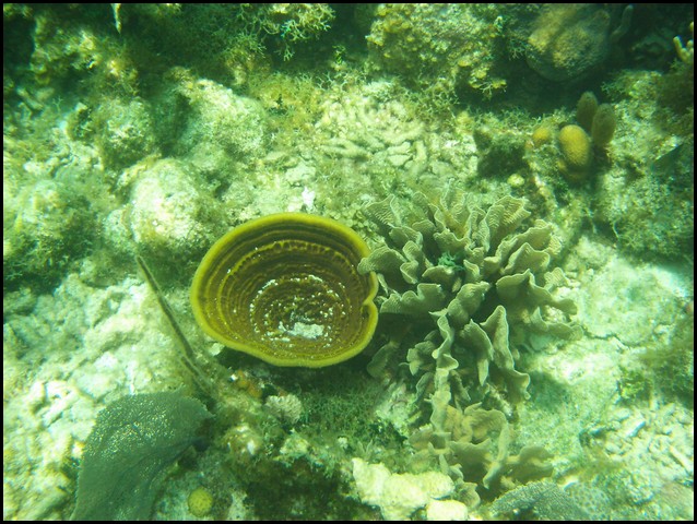 Belize 2008-366.JPG
