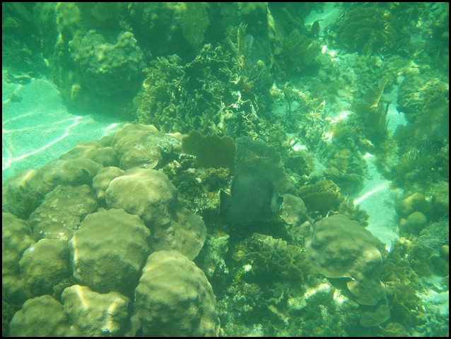 Belize 2008-368.JPG