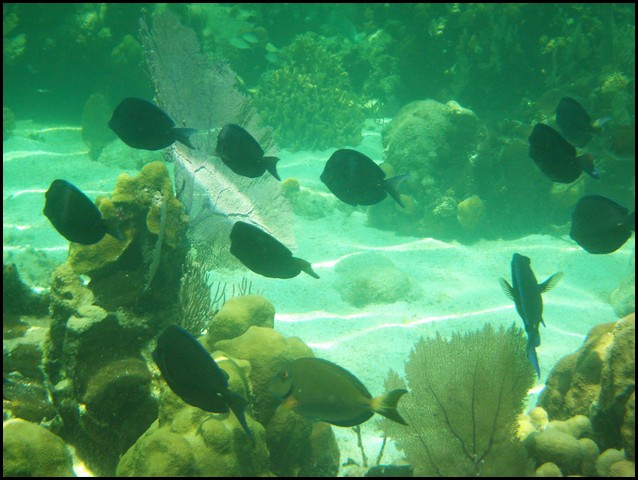 Belize 2008-370.JPG